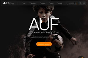 Академия умного футбола