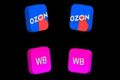Регистрация личного кабинета продавца на WB и Ozon