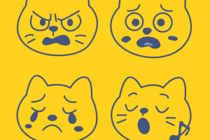 Обложки для телеграмм канала