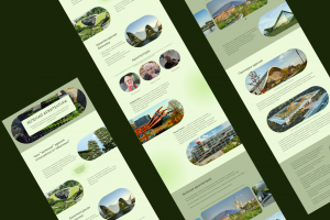 Лонгрид "Зеленая архитектура"