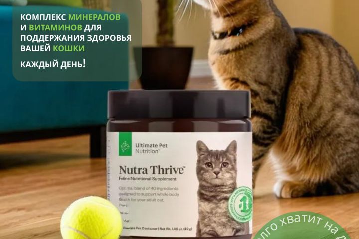 Инфографика маркетплейсов - 5465087