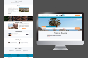 Корпоративный сайт "Nomad Birds"