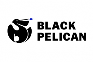 Разработка логотипа для производителя фургонов рефрижераторов Black Pelican