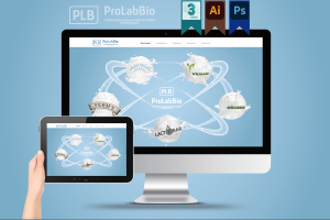 На изображении представлен проект графического дизайна для сайта компании ProLabBio.
