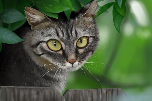 Цифровая иллюстрация кота по фото