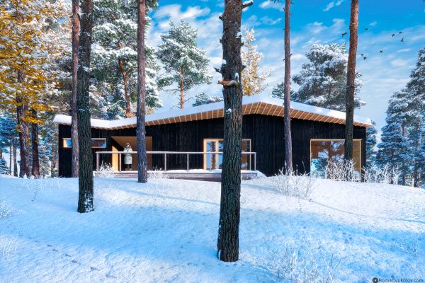 3D визуализация проекта Villa Kettukallio