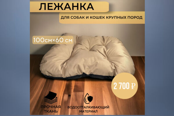 Инфографика для маркетплейсов