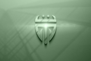 Разработка логотипа для инвестиционного фонда