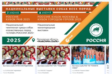 Официальный сайт Российской кинологической федерации (РКФ) — React-разработка в команде