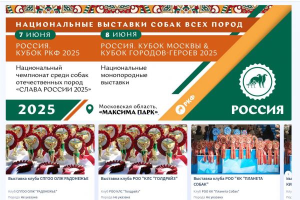 Официальный сайт Российской кинологической федерации (РКФ) — React-разработка в команде