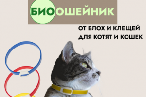 Карточка товара для меркетплейсов