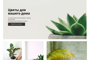 Лэндинг с элементами интернет-магазина для компании по продаже домашних растений