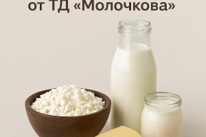 Горячее коммерческое предложение от ТД "Молочкова" (в рамках учебного проекта)