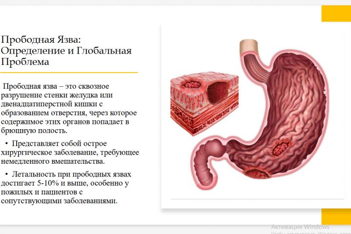 Презентации на любые темы - 5469284