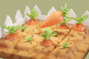 Грядка с морковкой