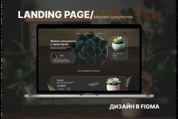 Обложка Behance.png