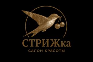 20250603_1651_Лого салона СТРИЖка_simple_compose_01jwv0xyr2fd2av
