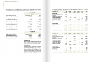 Годовой отчет