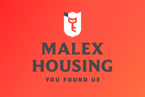 Разработка логотипа агентства недвижимости Malex Housing