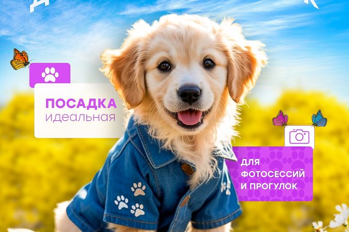 Инфографика для маркетплейсов - 5472137