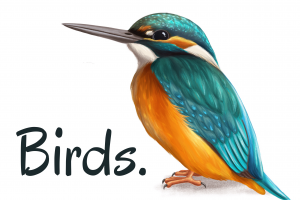 Птицы