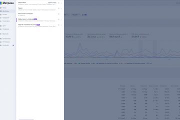 Настройка Яндекс_Метрики на ваш сайт, для полной аналитики активностей на нём.