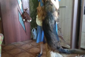 IMG_20250529_172033