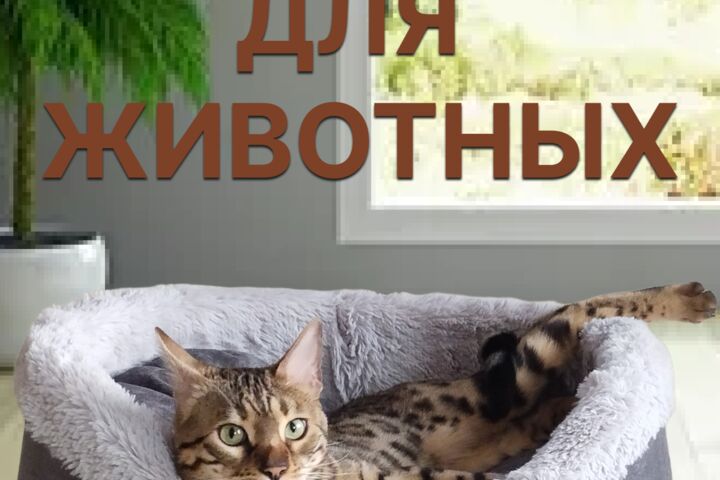 Инфографика для маркетплейсов, заполнение карточек