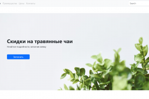 Шаблонный макет чайного магазина