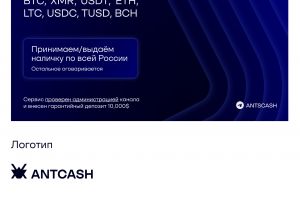 превью