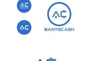 AntCash 1