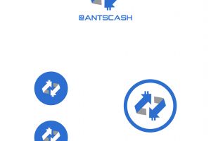 AntCash 2
