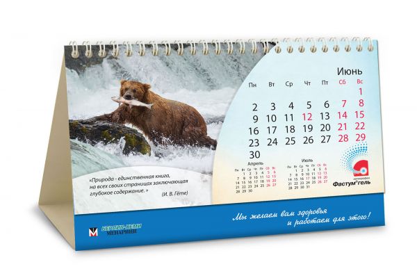 Календарь-домик «Дексалгин, Нимесил, Фастум»