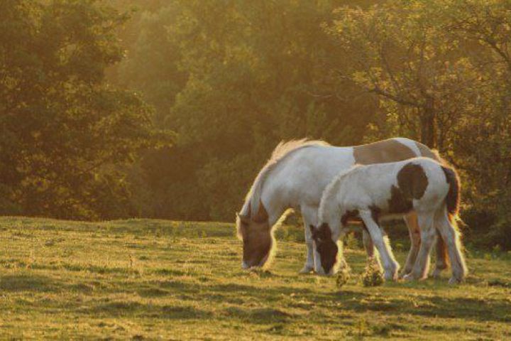 Инфографика для маркетплейсов - 5475550