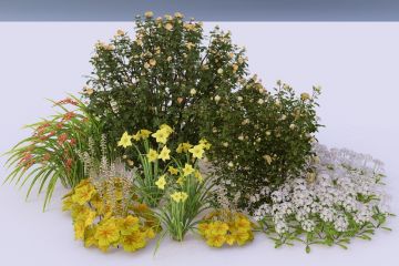 Подбор растений для декоративных композиций, дендропроект озеленения