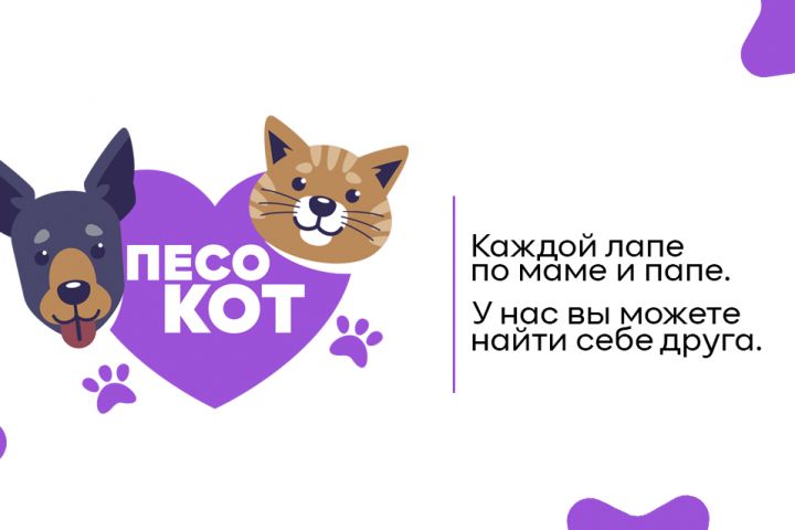 Визитка - 5479010