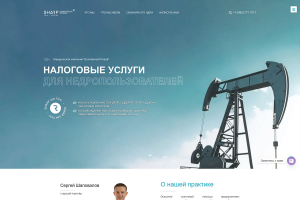 НАЛОГОВЫЕ УСЛУГИ ДЛЯ НЕДРОПОЛЬЗОВАТЕЛЕЙ