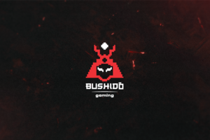BUSHIDO GAMING | Branding and Social media