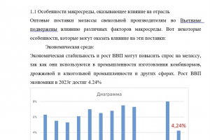 Разработка стратегии выхода на новые зарубежные рынки Азии