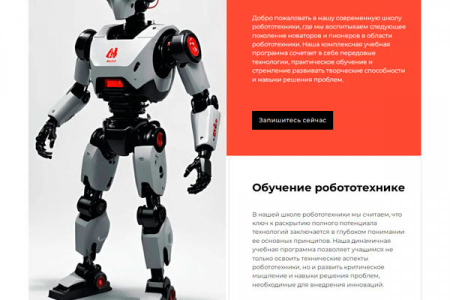 Продаю: Лендинг на Tilda для школы робототехники -   готовая работа на продажу :13730
