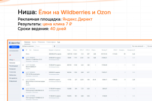 Кейс: Ёлки на Wildberries и Ozon - Яндекс.Директ. Клики по 7 рублей.