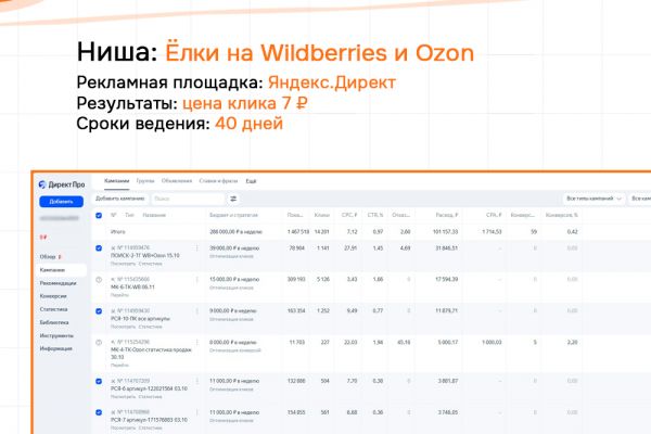 Кейс: Ёлки на Wildberries и Ozon - Яндекс.Директ. Клики по 7 рублей.