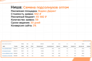 КЕЙС: Семена подсолнухов оптом - Б2Б - Яндекс 59 заявок по 942 руб