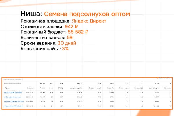 КЕЙС: Семена подсолнухов оптом - Б2Б - Яндекс 59 заявок по 942 руб