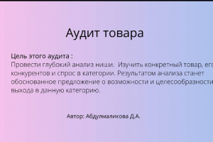 Анализ ниши и аудит товара для оценки выхода на маркетплейс