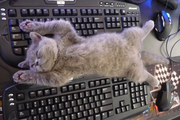 Пост в ТГ: реклама курсов копирайтинга