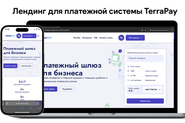 TerraPay.png