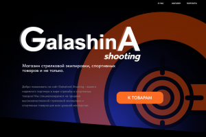Веб-магазин спортивных товаров для успешного продвижения и продажи продукции бренда