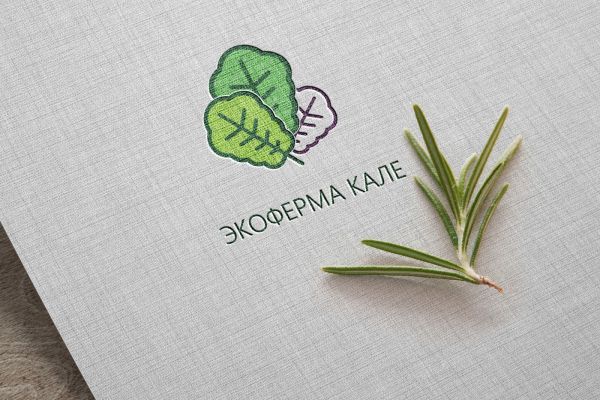 Разработка логотипа