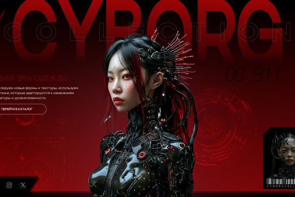 Курсы онлайн DD. ACADEMY